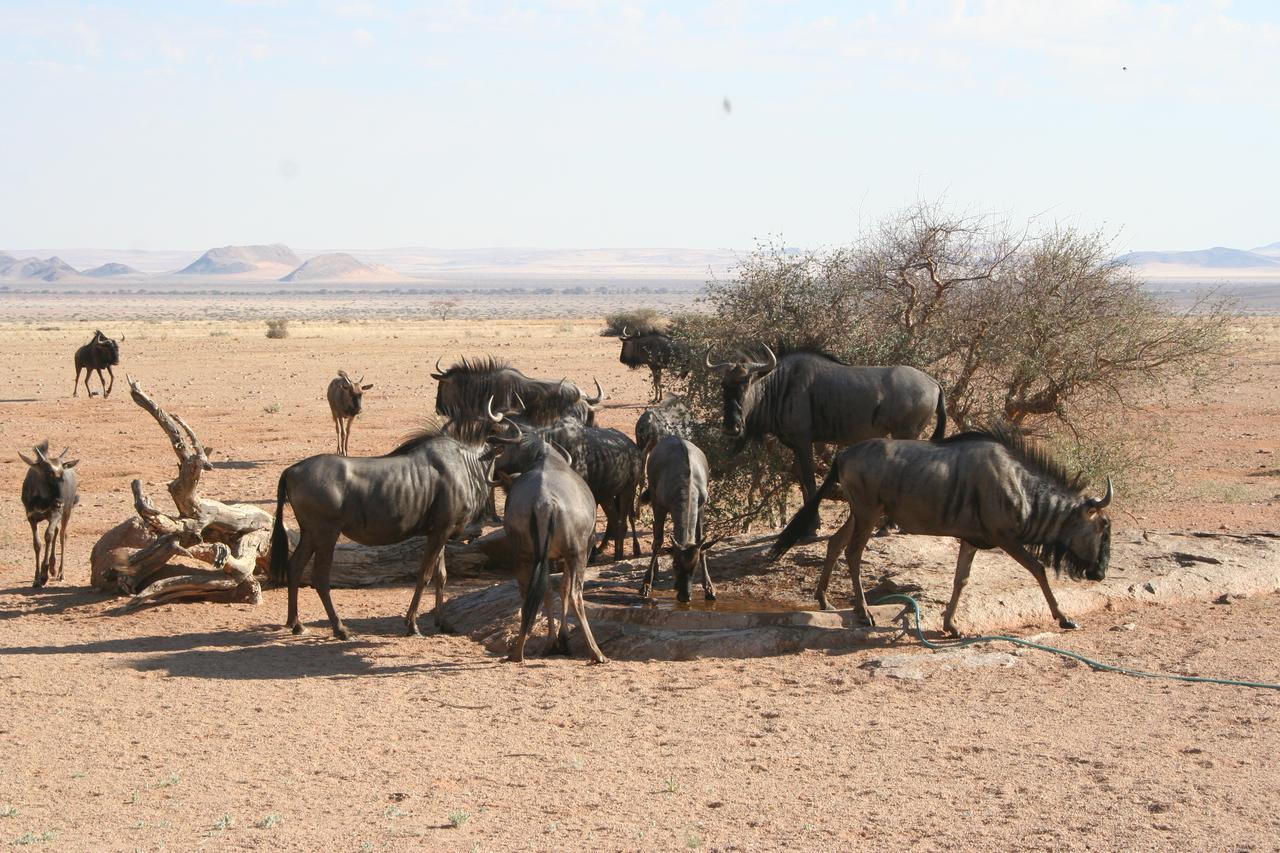 Namib Naukluft Lodge سوليتير المظهر الخارجي الصورة